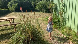Ein Kind steht in der Nähe eines grünen Gartenhauses in einer grünen Wiese mit einem Picknicktisch und Pflanzen.