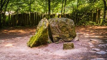 A forested area with large moss-covered rocks and a dirt path.