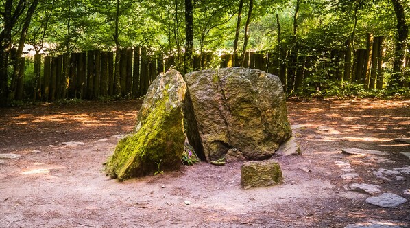 A forested area with large moss-covered rocks and a dirt path.