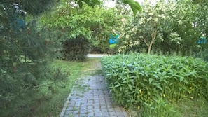 Esterni