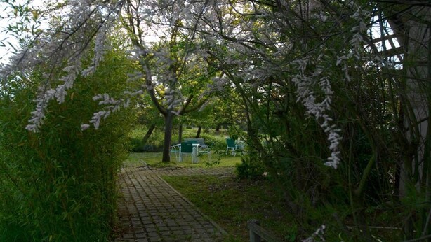 A paved pathway leading through a park with cherry blossoms and green seating areas.