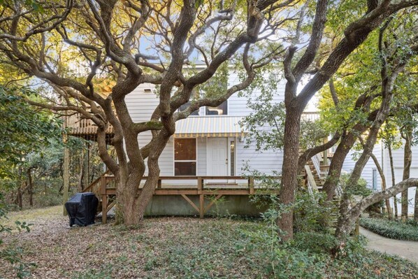 House, 4 Bedrooms | Exterior - Dogwood Treehouse (Pine Knoll Shores)