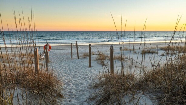 Beach - Dogwood Treehouse (Pine Knoll Shores)