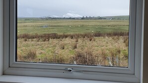 Une fenêtre donnant sur une montagne enneigée, un champ verdoyant et quelques bâtiments dispersés.