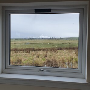 Chalet, 1 King Bed with Sofa bed | 1 bedroom, free WiFi, bed sheets - Beautiful Executive Chalet on the Nc500 (Latheron)