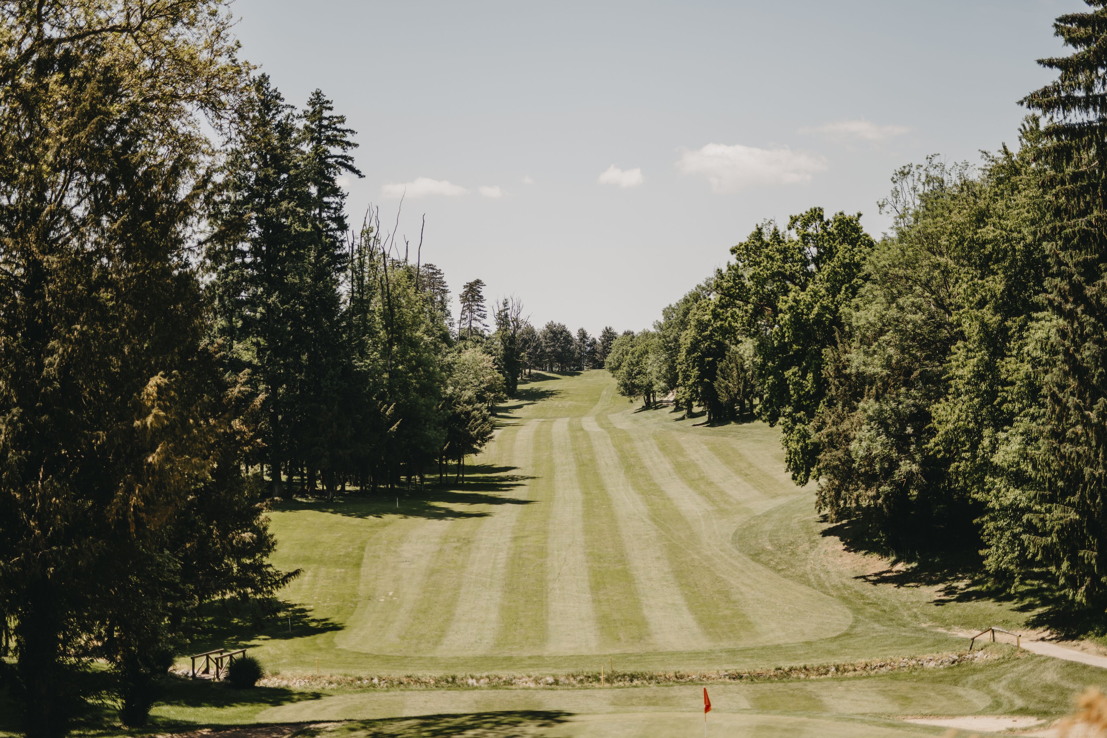 Camp de golf amb un camí clar, envoltat d'arbres densos.