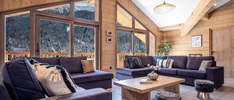 Smart TV, chimenea, reproductor de DVD y libros