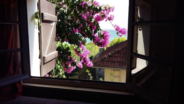 A window with wooden shutters, a view of pink bougainvillea flowers, and a glimpse of a building with a tiled roof. - Apartment (Lège-Cap-Ferret)