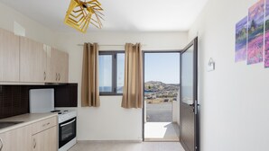 A modern kitchen with a built-in oven and a view of a cityscape through a sliding glass door.