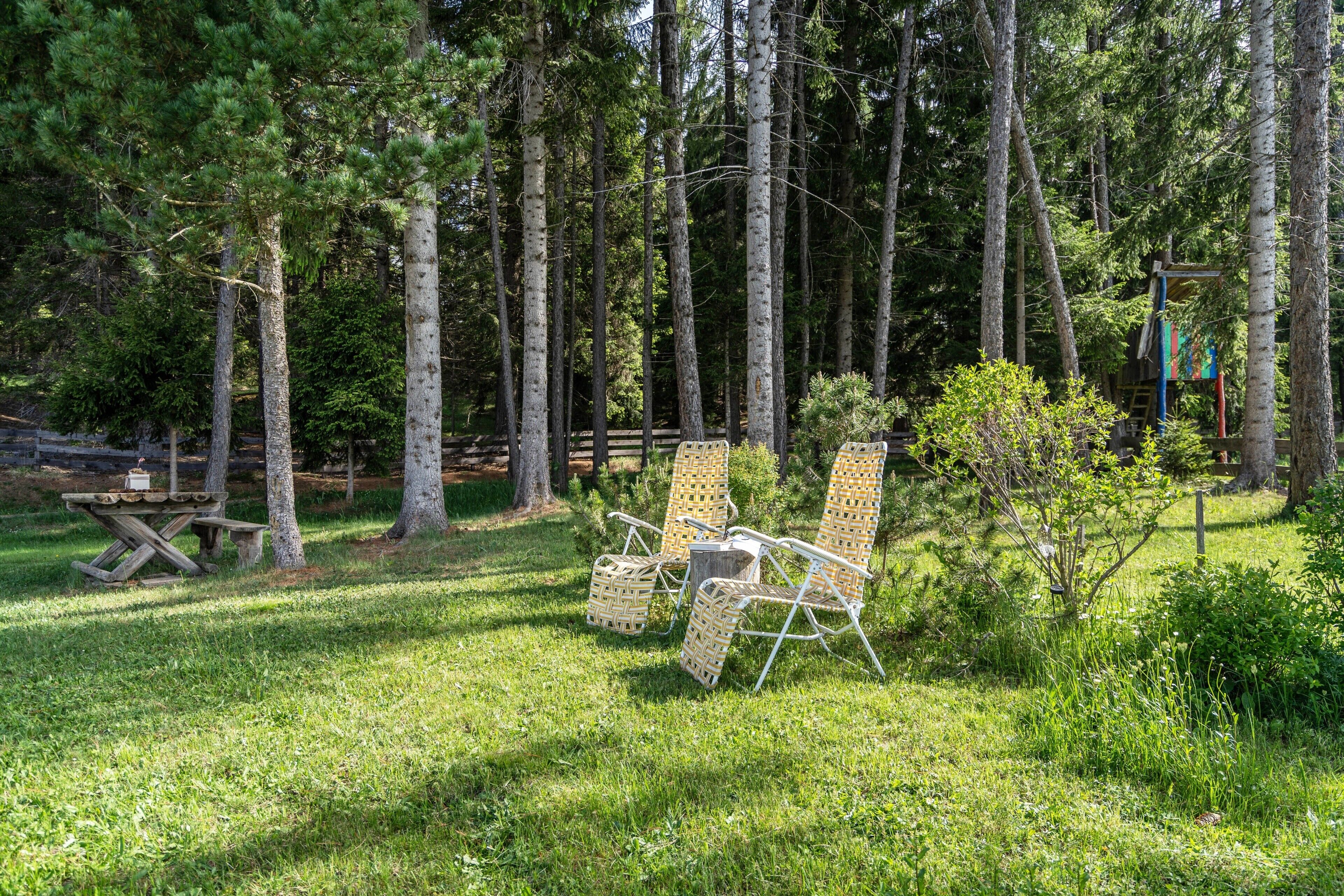 Une zone boisée avec une table de pique-nique et des chaises en osier.