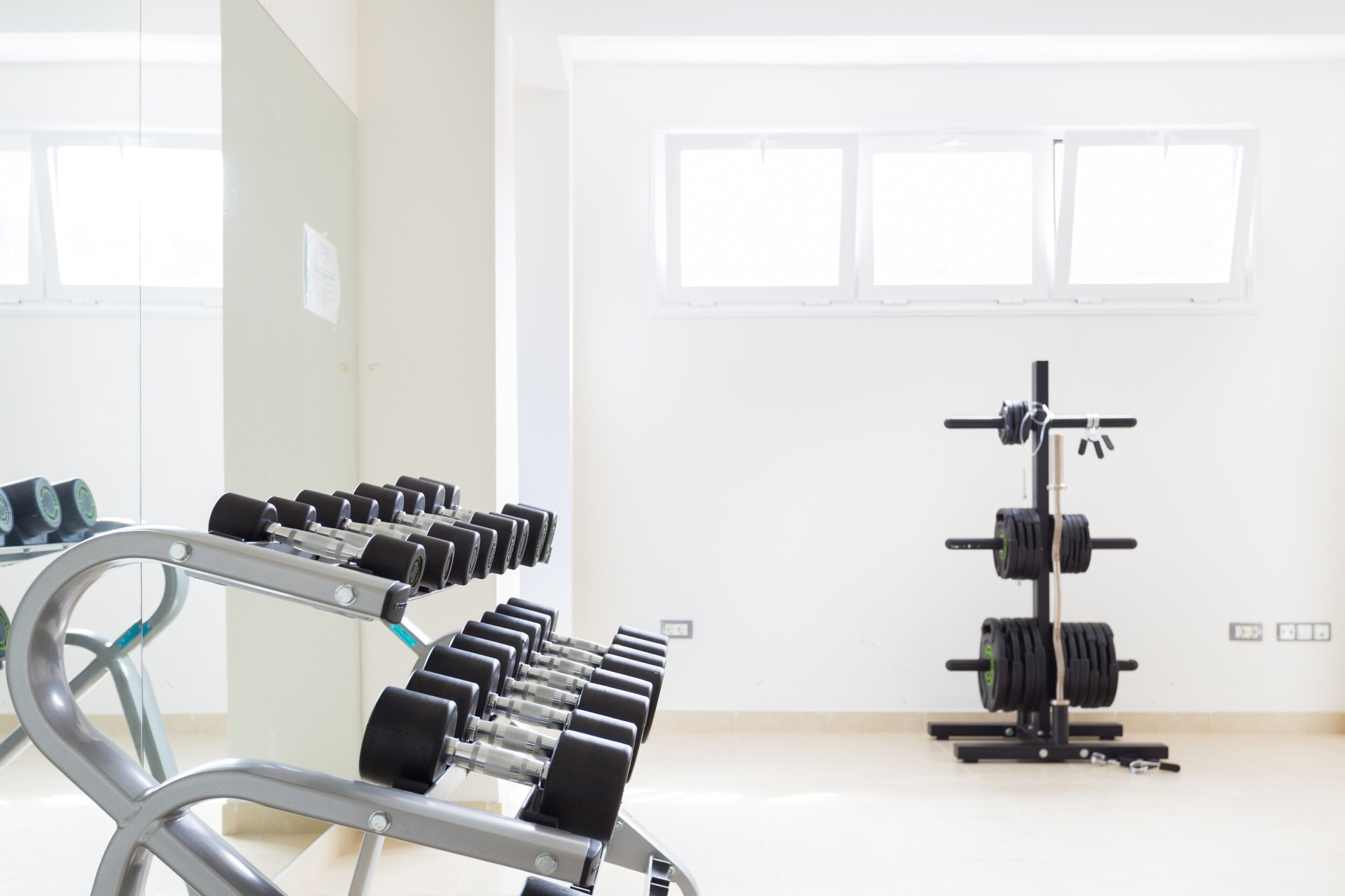 A gym with dumbbells and a barbell rack.