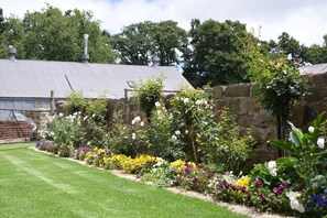 Property grounds - Flitwick Ranch - Old Cheese Factory Room 3 (Greater Kokstad)
