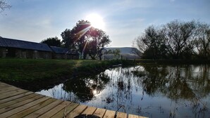 Property grounds - Flitwick Ranch - Old Cheese Factory Room 3 (Greater Kokstad)