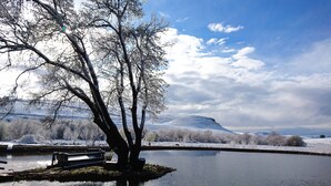 A tranquil lakeside scene with a bench and a tree by the water. - Flitwick Ranch - Bull Stables Room 9 (Greater Kokstad)
