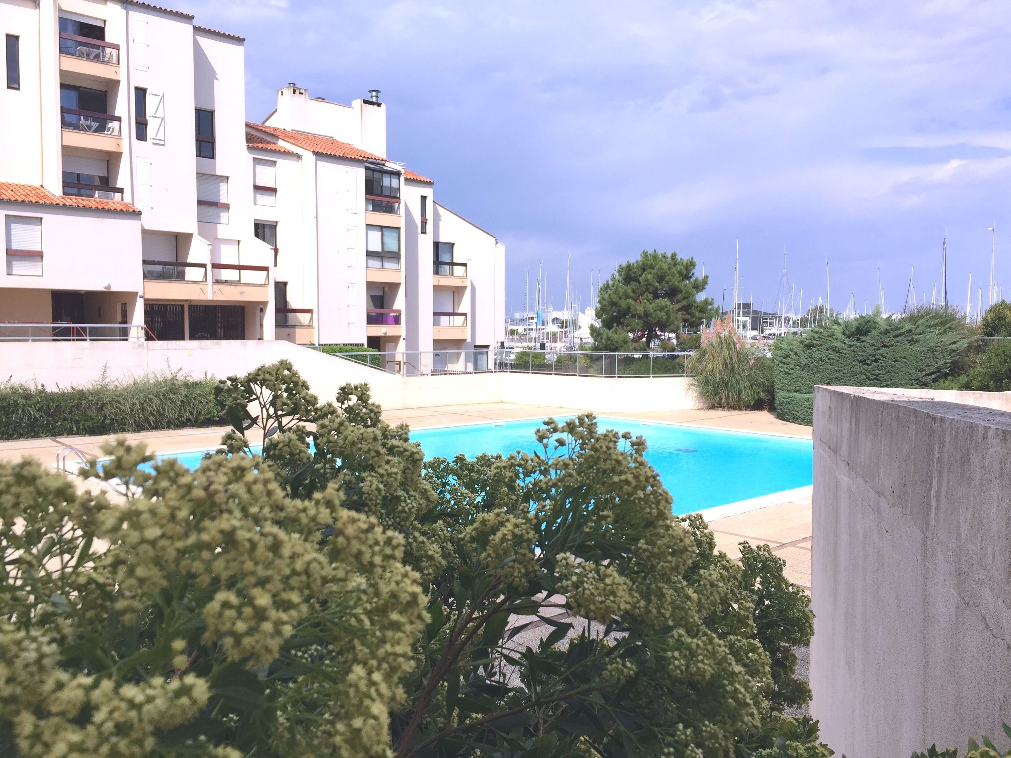 Une piscine entourée de verdure, avec un bâtiment en arrière-plan.