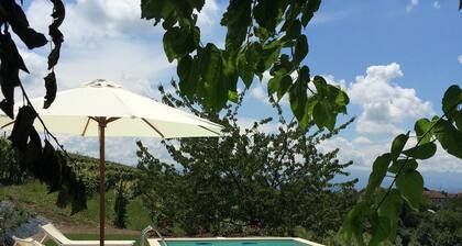 Villa In The Langhe With Park, Pool Spa