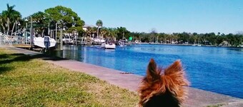 The Keys Bungalow On The Cotee River