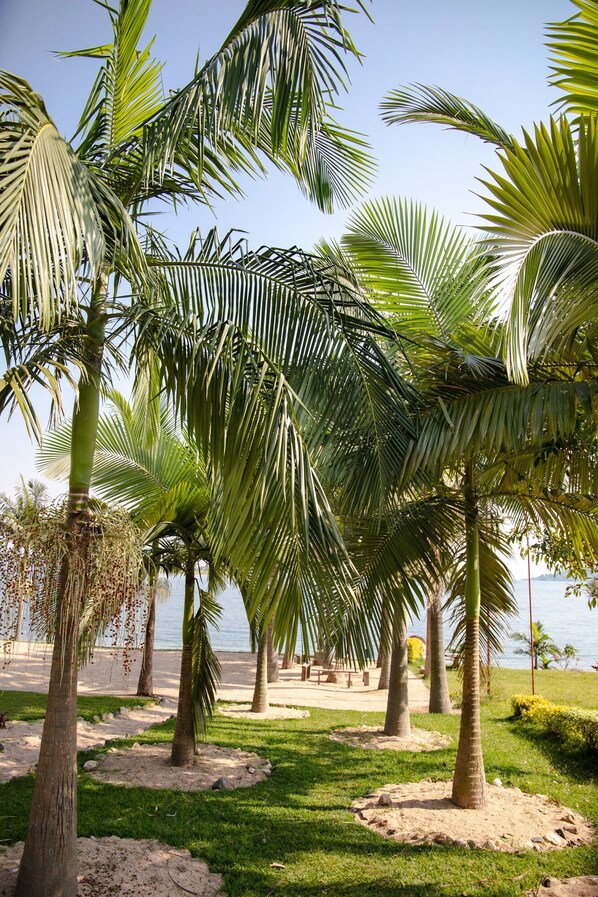 Chambre, 1 chambre, fumeurs, terrasse | Enceinte de l’hébergement