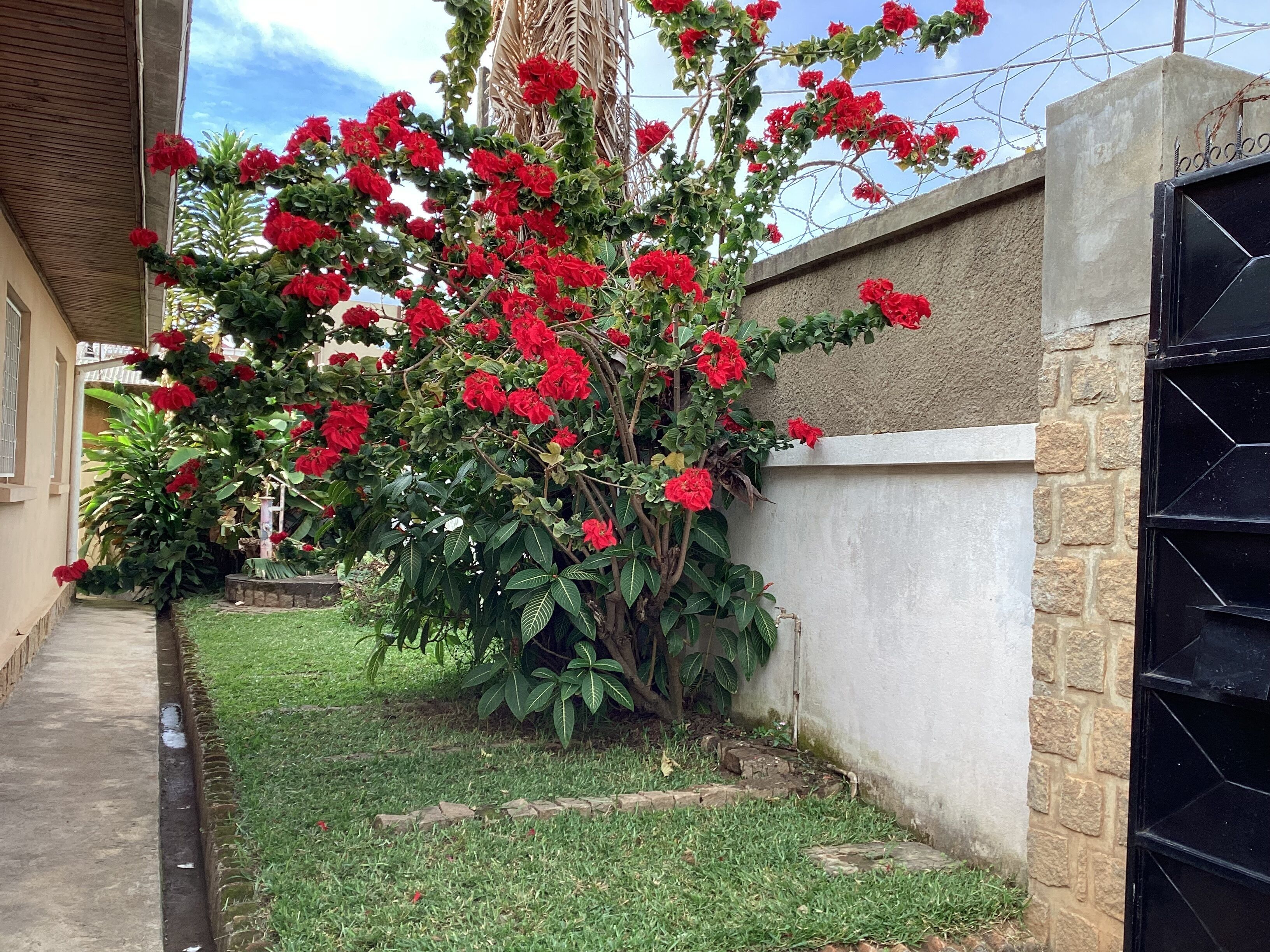 ヴィラ 3 ベッドルーム 喫煙可 テラス | 外観