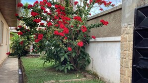 Un jardín con una planta roja floreciente, un camino de hormigón y un muro de piedra.