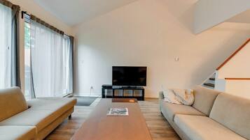 Fernseher, Kamin, Stereoanlage