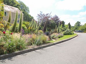Cottage | Interior - Blackbird Cottage (Falmouth)
