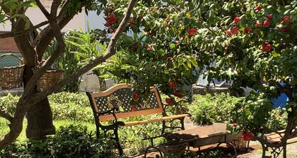 Dimora Marchese, centrally located near Giardini Naxos and Taormina, two kilometers from the sea