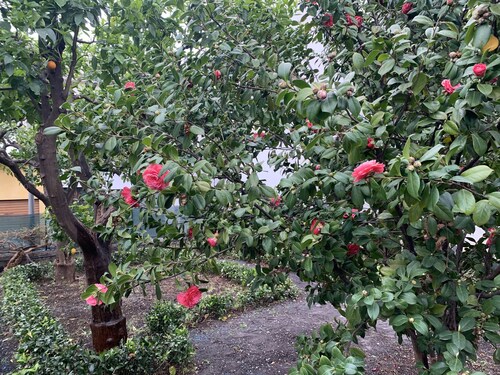 Dimora Marchese, centrally located near Giardini Naxos and Taormina, two kilometers from the sea