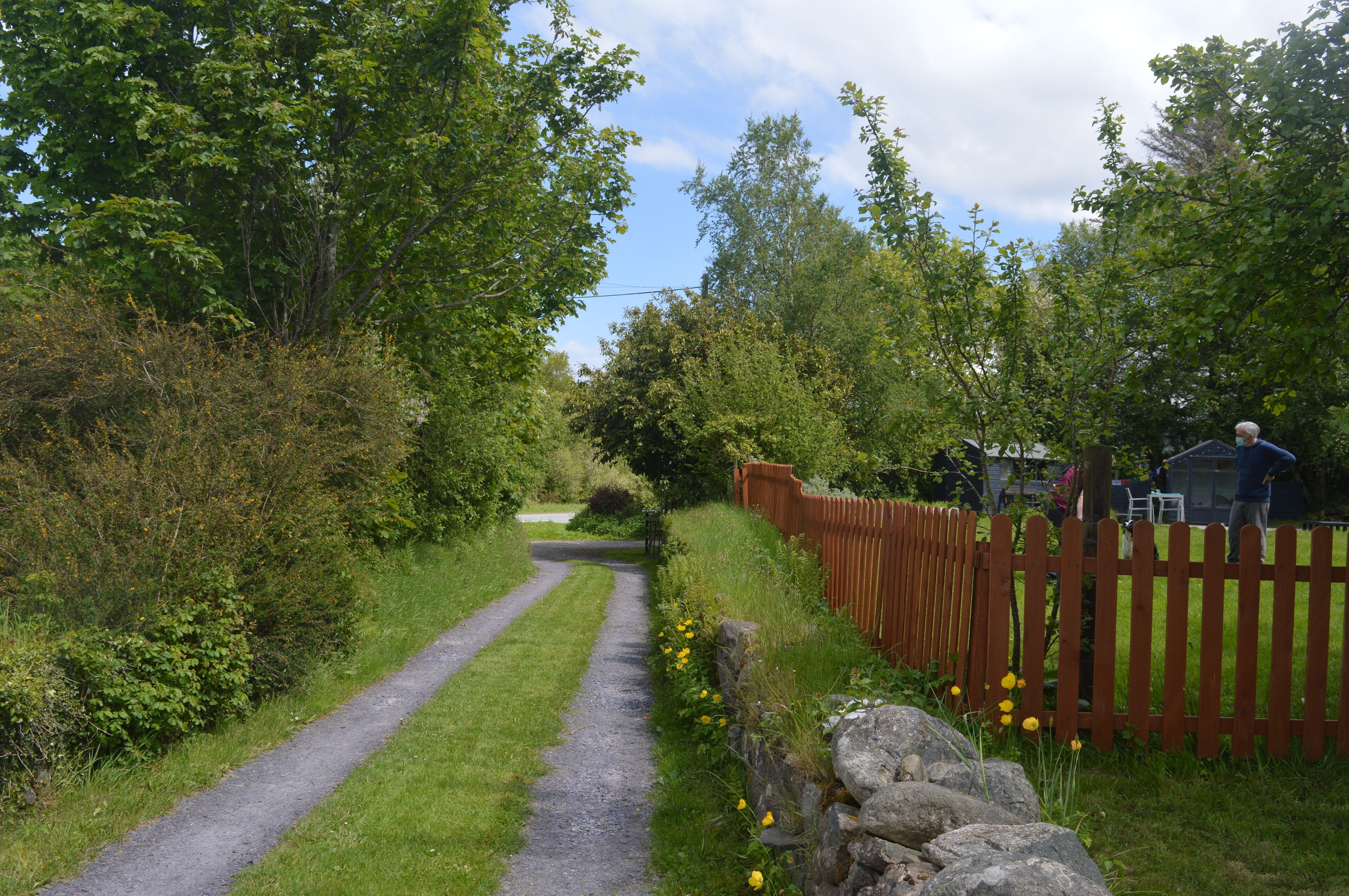 A gravel path flanked by greenery and a wooden fence, leading to a house with a visible porch.