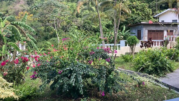 Una casa rodeada de abundante vegetación y plantas florecientes.