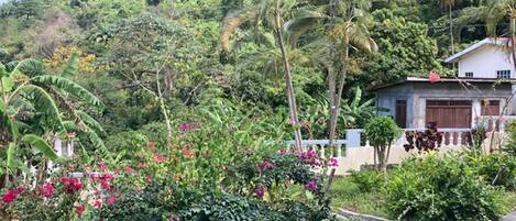 อพาร์ทเมนท์ | บริเวณที่พัก