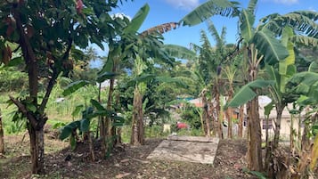 Apartment | Property grounds