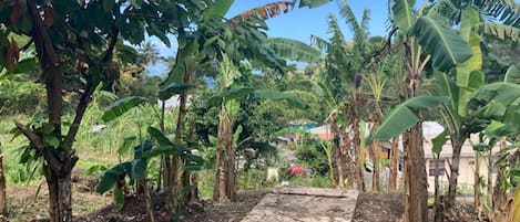 Apartment | Property grounds