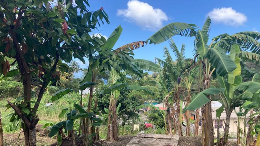 Stunning 2-bed Apartment in Grand Roy, Grenada