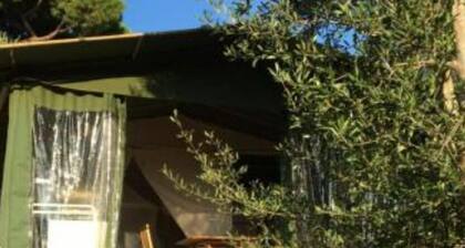 LODGES 1 SAFARI LES LAURIERS ON LEVANT ISLAND