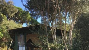 Eine kleine, rustikale Holzhütte mit einer Holzterrasse und einem überdachten Außenbereich.