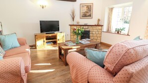 A living room with a fireplace, a television, and patterned sofas.