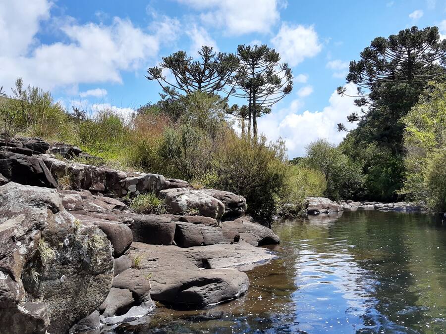 Eine natürliche Landschaft mit Fluss, felsigem Gelände und Bäumen.