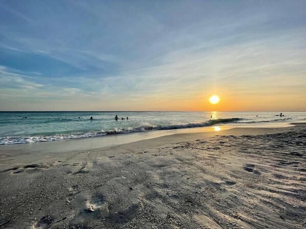 Beach - SeaDuction of Anna Maria Island (Holmes Beach)
