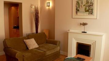 Televisor, llar de foc i llibres