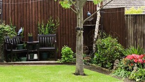 A backyard with a wooden fence, a small tree, potted plants, a bird feeder, and a garden with various plants and flowers.