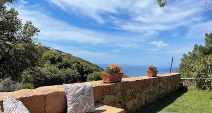 Charming studio with garden and sea view