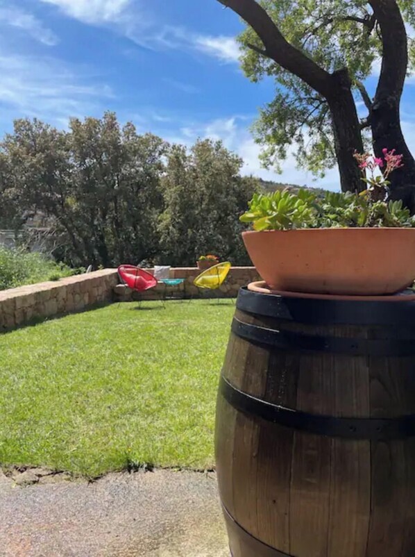 Property grounds - Charming studio with garden and sea view (Piana)