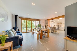 Télévision, cheminée