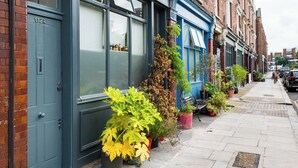 A row of terraced houses with large windows, potted plants, and a clear sidewalk. - The Mad Hatter (London)