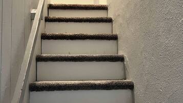 A staircase with carpeted steps leading upwards.