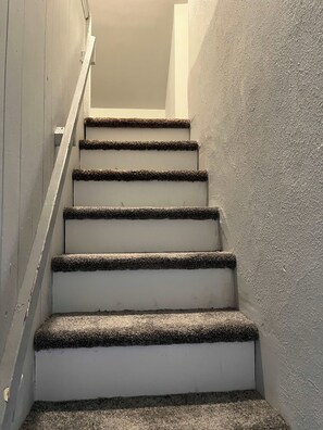 A staircase with carpeted steps leading upwards. - Main, Three Bedroom House in Historic Loveland (Loveland)