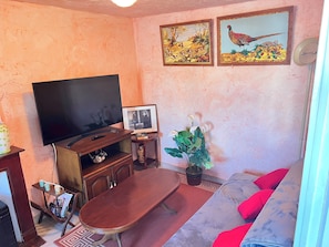 Télévision