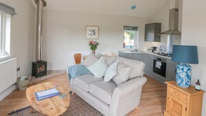 A cozy living room with a sofa, a coffee table, a fireplace, and a kitchen area with a stove and cabinets. - Peep o' Day (York)