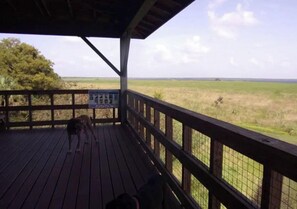 Terrain de l’hébergement 